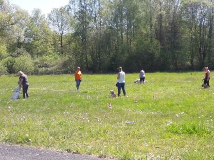 Dogs Eldorado - Hundeschule einmal anders...