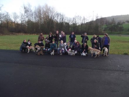 Dogs Eldorado - Hundeschule einmal anders...