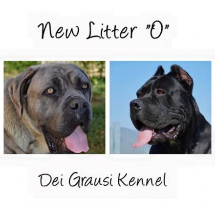 Allevamento dei Grausi