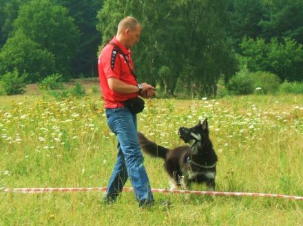 Rocco`s- Outdoor-Hundeschule