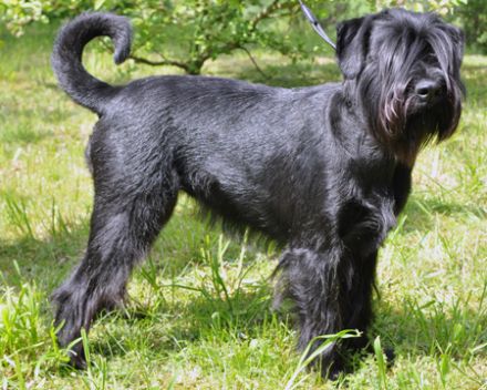 von der Märchenmühle