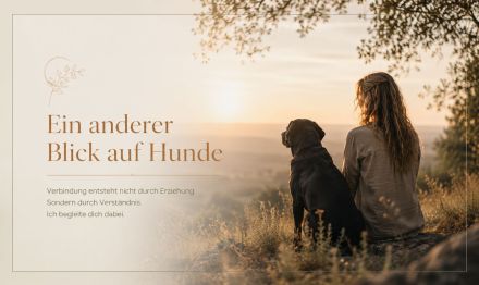 Soul & Heart Dogs