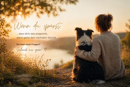 Soul & Heart Dogs