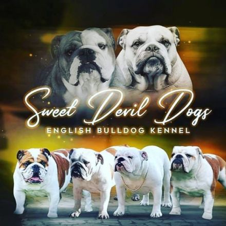 Sweet Devil Dogs