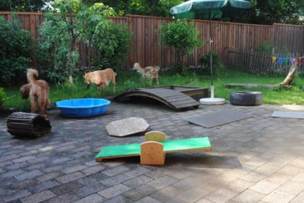 Die Hundeschule mit Herz