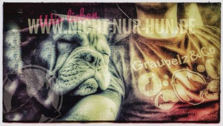 Graupelz & Co mobile Tierpflege und Hundeschule