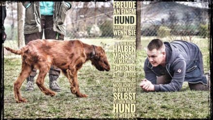 Graupelz & Co mobile Tierpflege und Hundeschule
