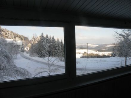 Ferienhaus Sauerland Sauna am Wald