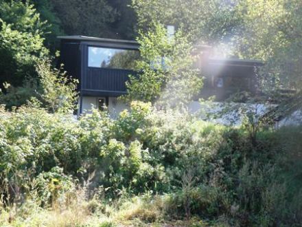 Ferienhaus Sauerland Sauna am Wald