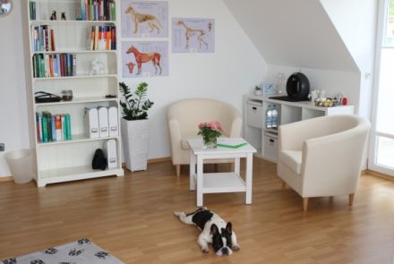 Tierheilpraxis Eve Siemens