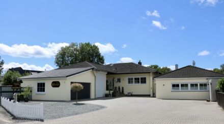 Hundepension & Hundefriseur DOG-Hostel & DOG-Style