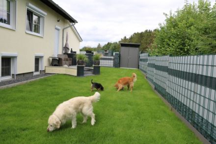Hundepension & Hundefriseur DOG-Hostel & DOG-Style