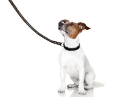 Erziehungskurs ab 5/6 LM