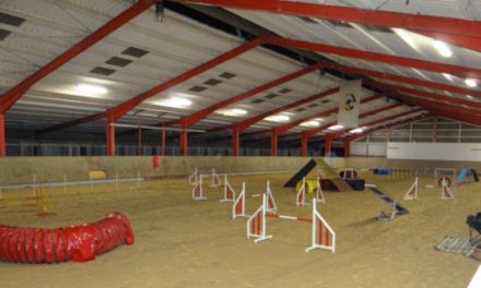 Trainingshalle in 3544 Reiskirchen zu vermieten