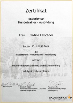 Hundeschule Hakuna Matata