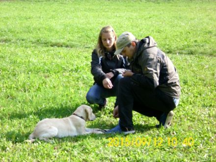 Hundeschule Hakuna Matata