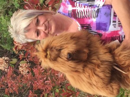 Ernesto Che Guevara the sun from Rodenberg