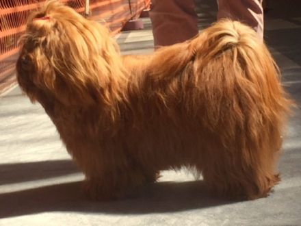 Ernesto Che Guevara the sun from Rodenberg