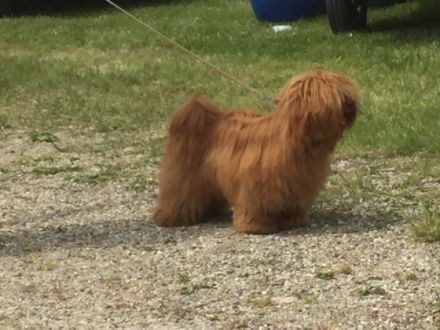 Ernesto Che Guevara the sun from Rodenberg