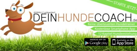 Dein Hunde Coach