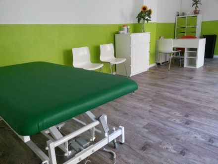 Tiertherapie Berlin - Tierphysiotherapie & Tiergesundheit