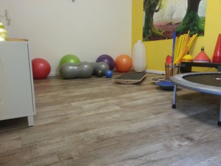 Tiertherapie Berlin - Tierphysiotherapie & Tiergesundheit