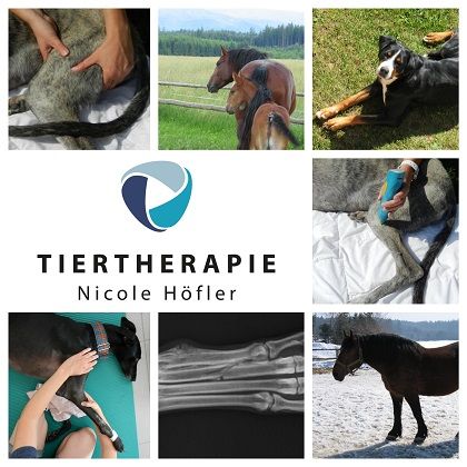 Tiertherapie Nicole Höfler