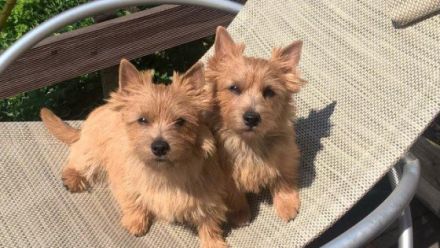 von der Kaiserhütte