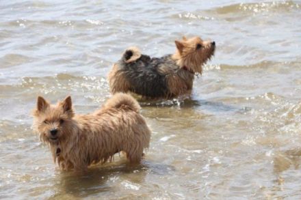 von der Kaiserhütte