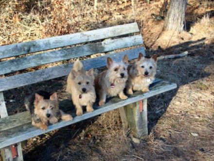 von der Kaiserhütte