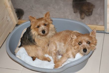 von der Kaiserhütte