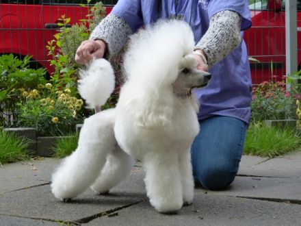 Bonoks Etual Love Men