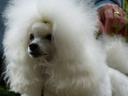 Bonoks Etual Love Men