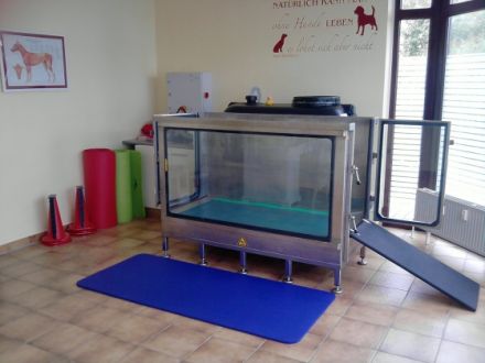 Praxis für Tierphysiotherapie Silke Meisen