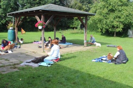 Tierphysiotherapie Hundelieben