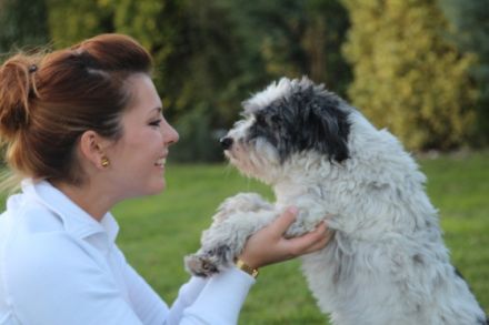 Tierphysiotherapie Hundelieben