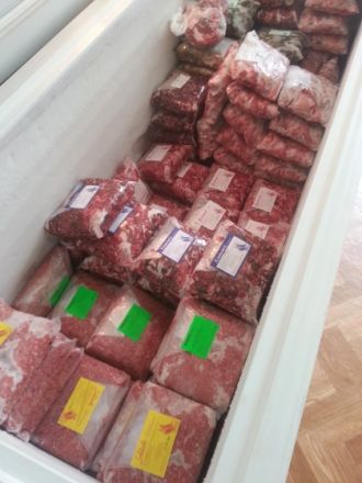 Natürliche Tiergesundheit  - Cathrin Sommer