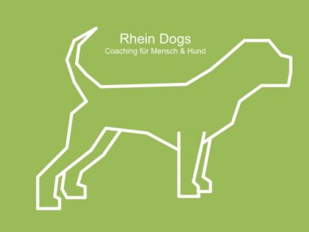 Rhein Dogs - Coaching für Mensch & Hund