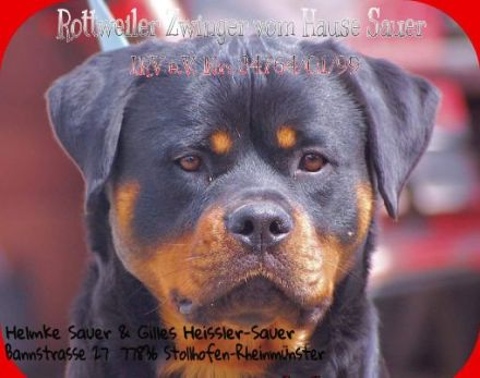 Kid von der Mühlbachstrasse