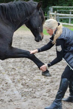 Naturheilpraxis Ellen Hilgers