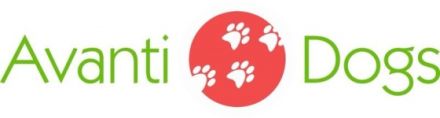Avanti Dogs