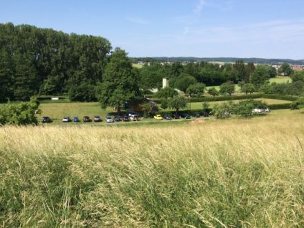 Hundefreunde Freigericht e.V.