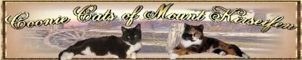 Coonie Cats of Mount Kirseifen