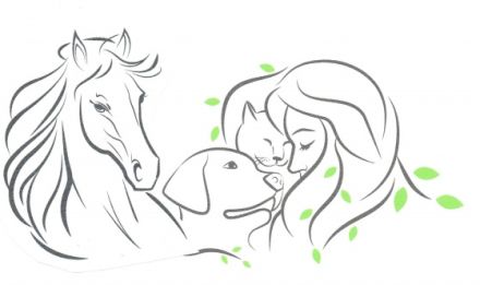 Mehr Zeit für Mensch und Tier - Katja Schindhelm