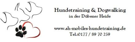 Hundetraining & Dogwalken in der Dübener Heide