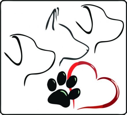 Hundetraining & Dogwalken in der Dübener Heide