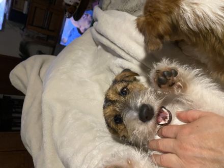 vom Roten Feldweg (INT)