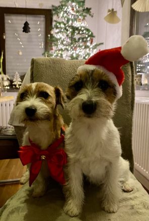 vom Roten Feldweg (INT)