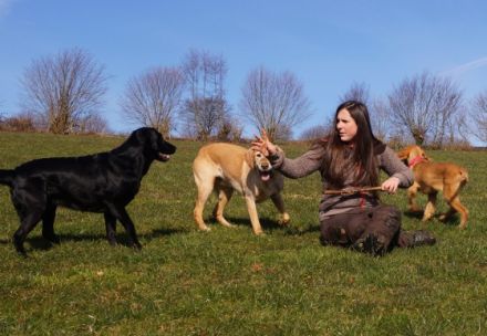 DOX Hundeschule Franzi Ihne