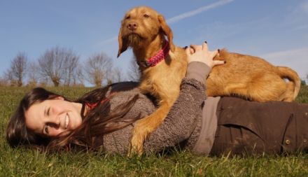 DOX Hundeschule Franzi Ihne